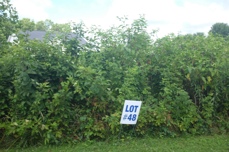 Listing Image 41
