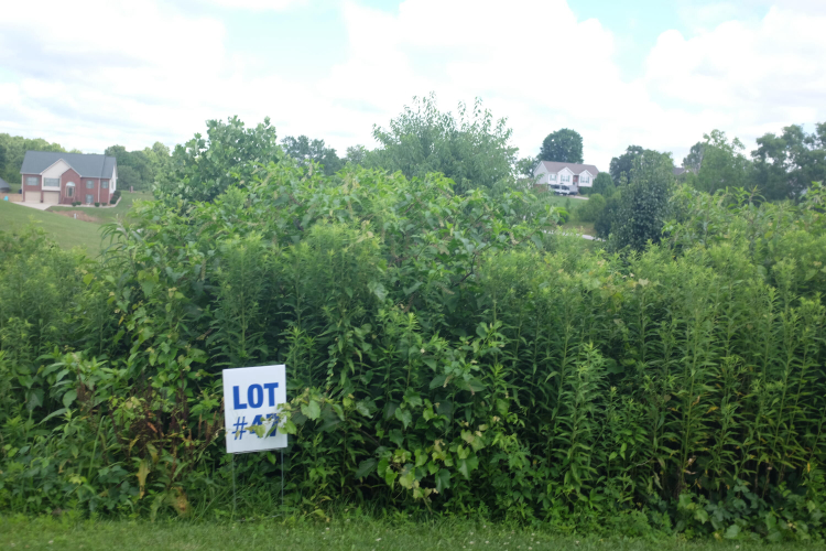Listing Image 42