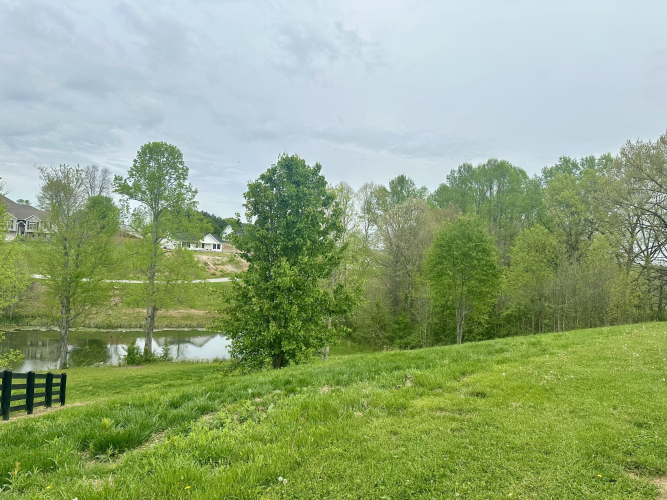 Listing Image 12