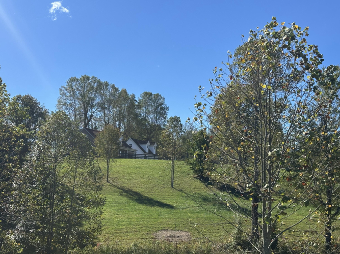 Listing Image 8