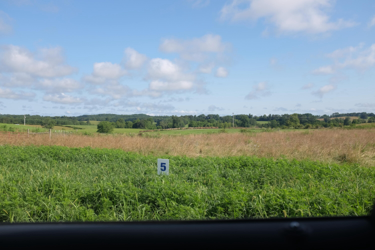 Listing Image 5
