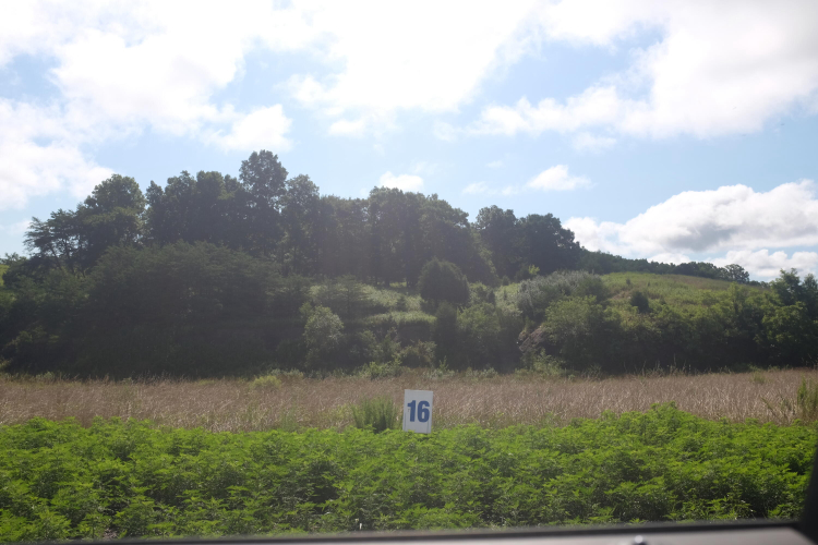 Listing Image 15