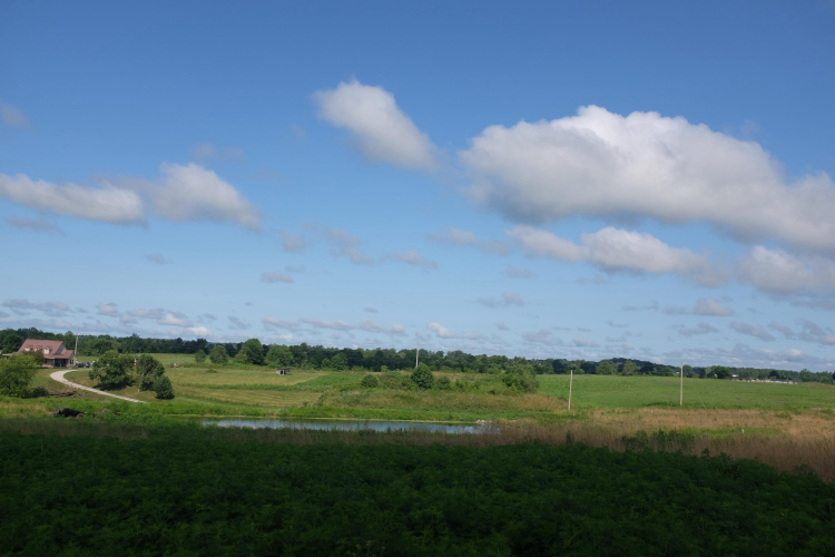 Listing Image 26