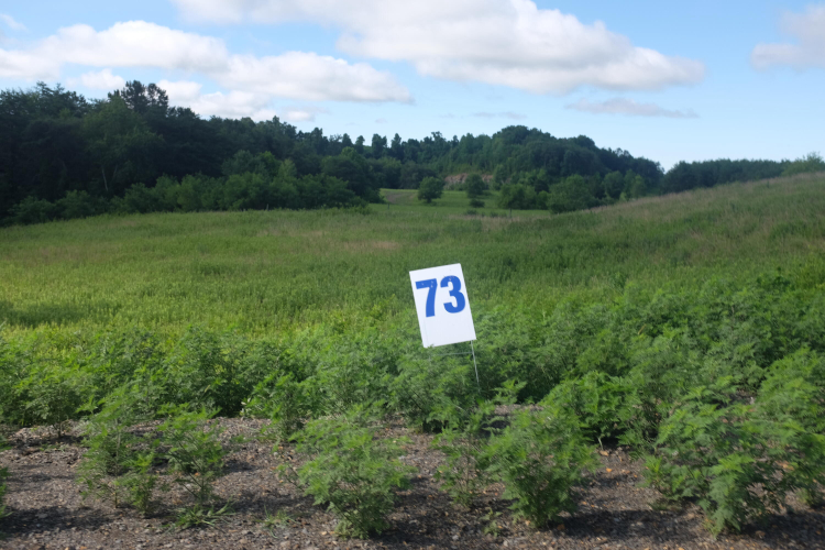 Listing Image 36