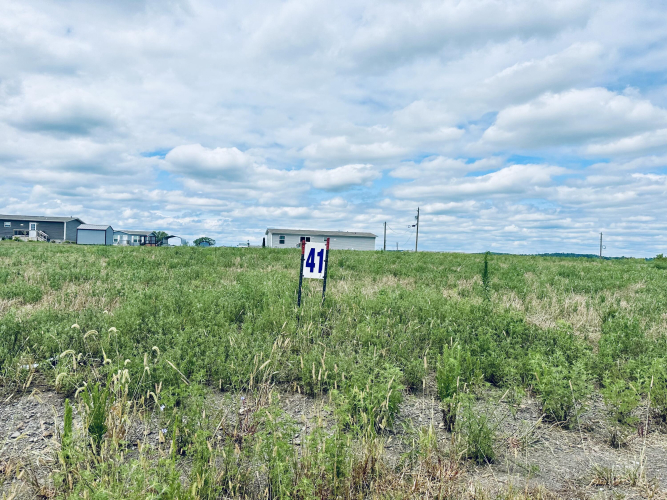 Listing Image 18