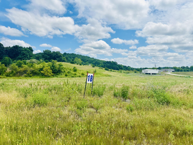 Listing Image 6