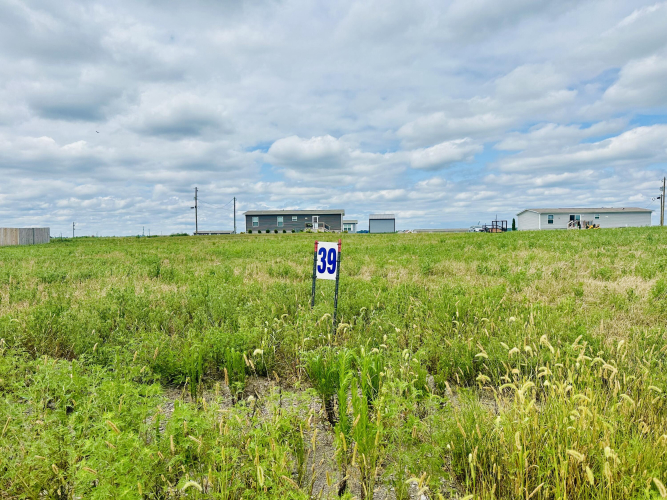 Listing Image 16