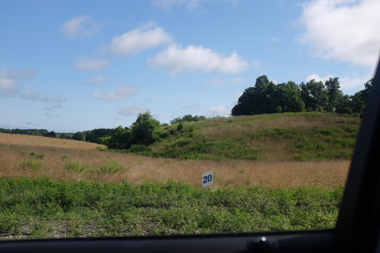 Listing Image 77