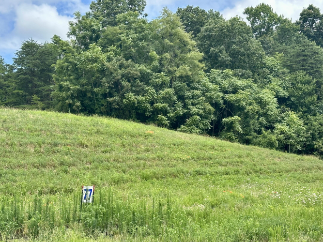 Listing Image 31