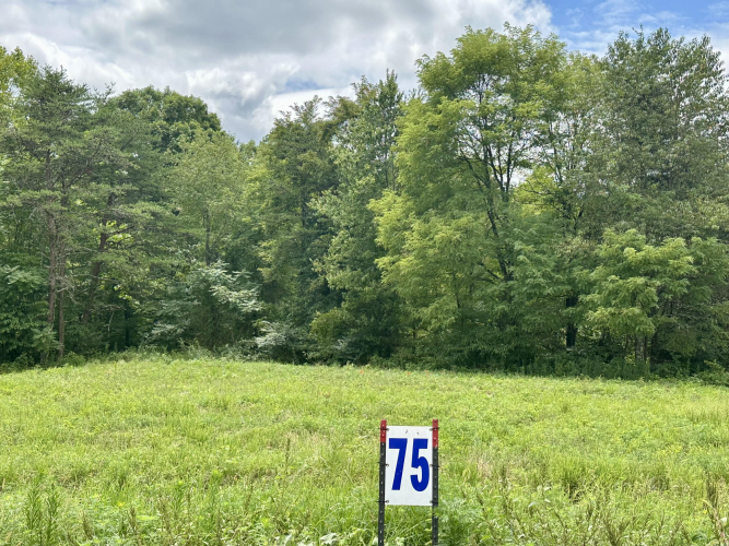 Listing Image 34