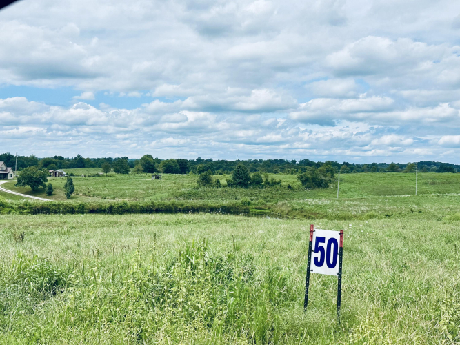 Listing Image 24