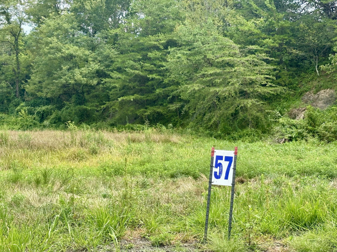 Listing Image 29