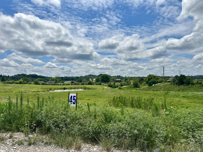 Listing Image 37