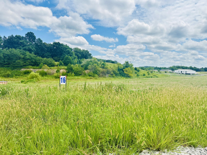 Listing Image 11