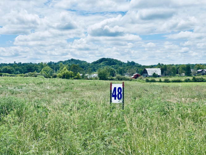 Listing Image 17