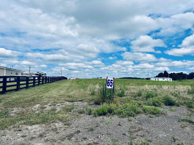 Listing Image 20