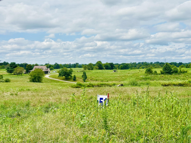 Listing Image 22