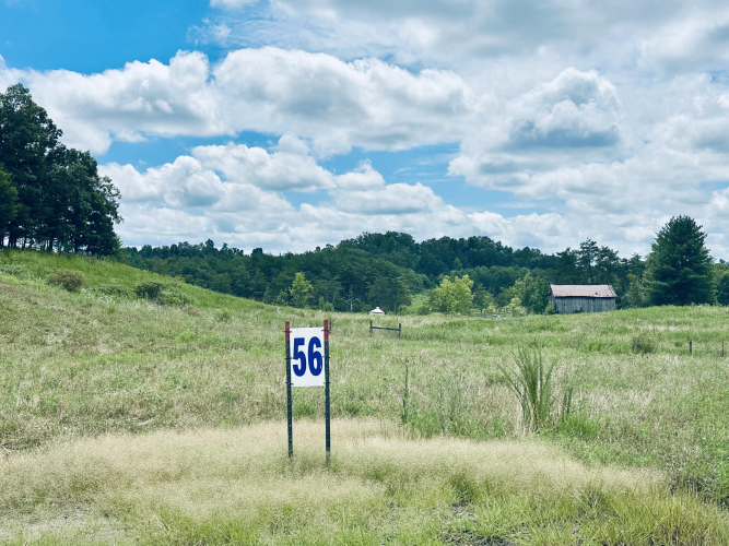 Listing Image 29