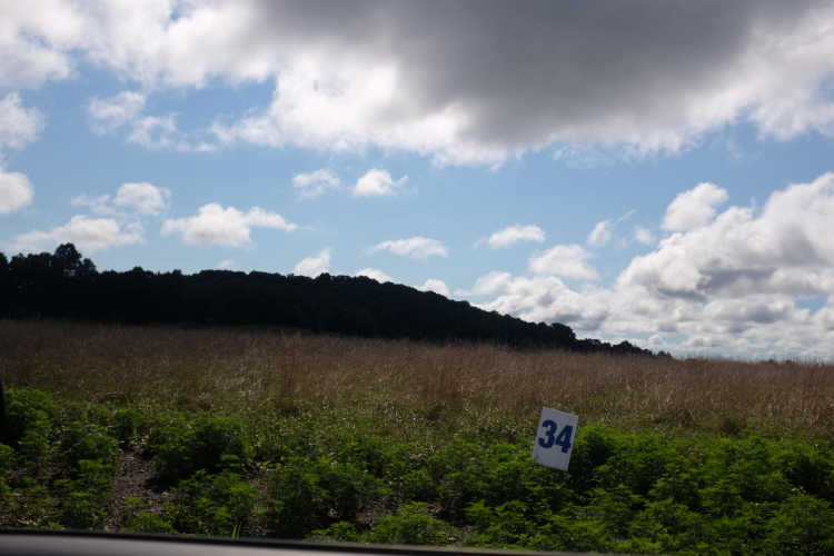 Listing Image 50