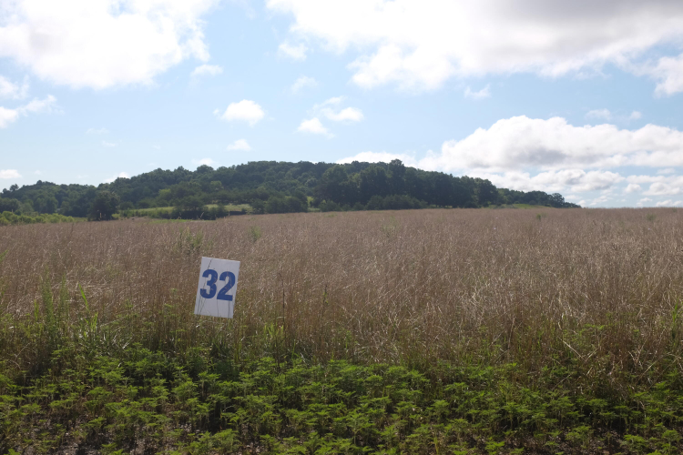 Listing Image 61