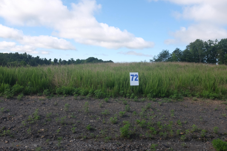 Listing Image 77