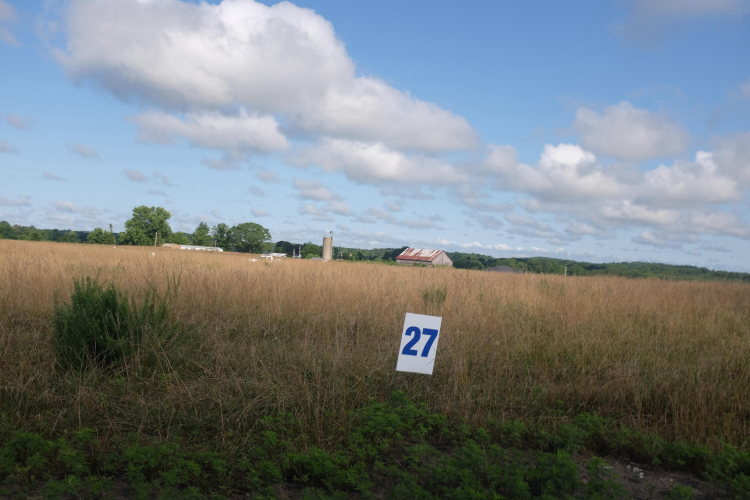 Listing Image 53