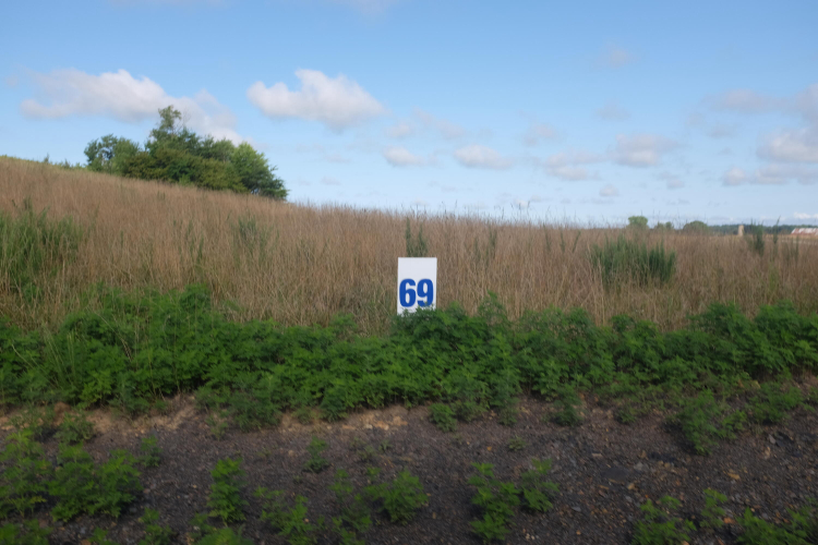 Listing Image 72