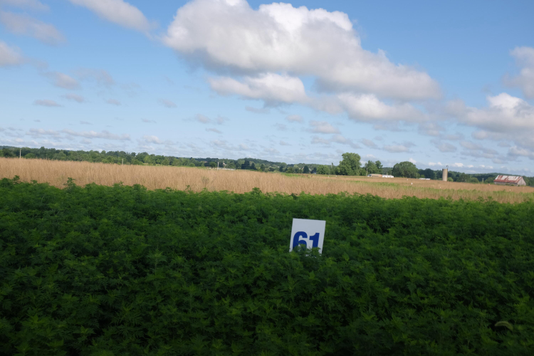 Listing Image 52
