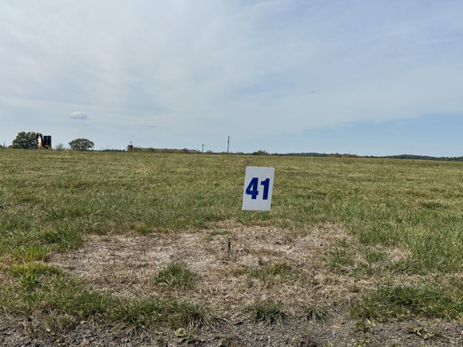 Listing Image 81