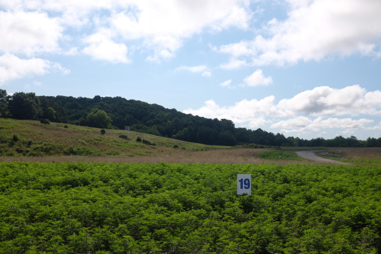 Listing Image 15