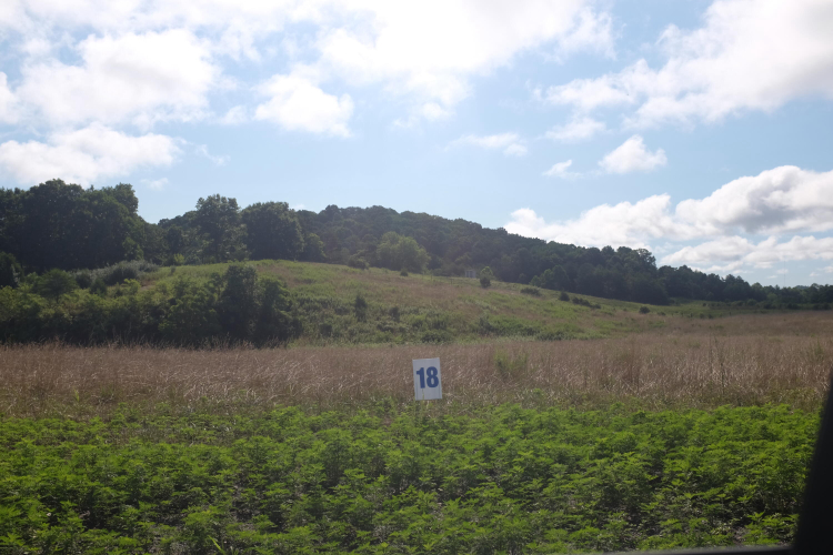 Listing Image 53