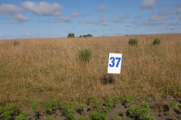 Listing Image 54