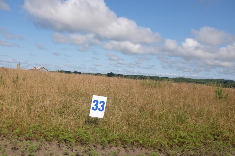 Listing Image 27
