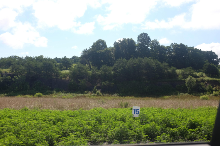 Listing Image 13