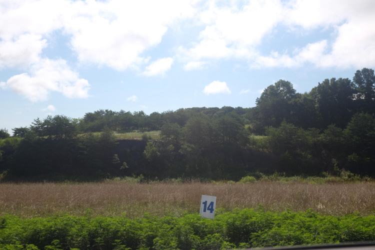 Listing Image 17