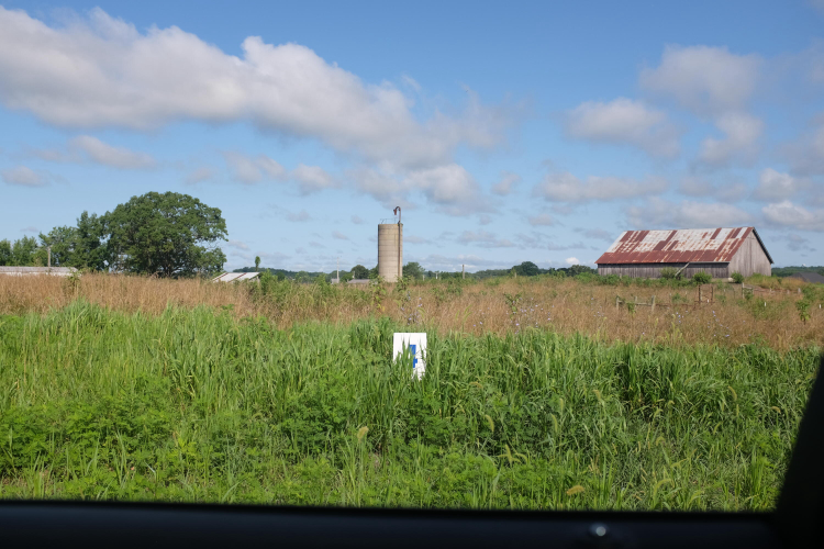 Listing Image 21