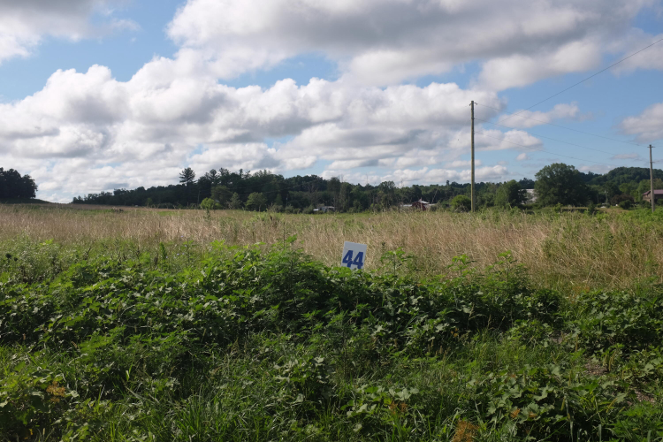 Listing Image 29