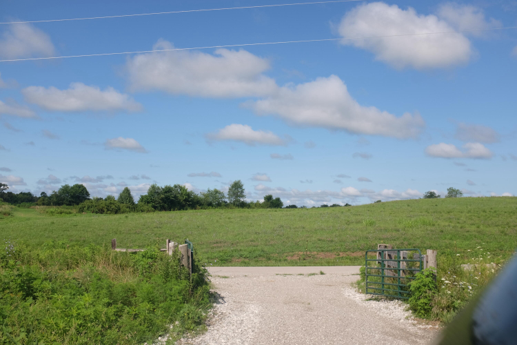 Listing Image 30