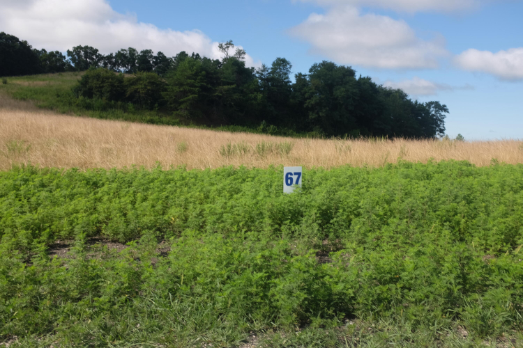 Listing Image 51