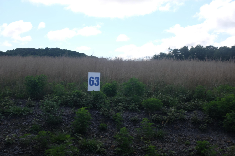 Listing Image 40