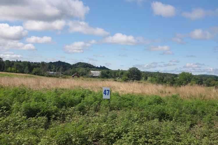 Listing Image 34