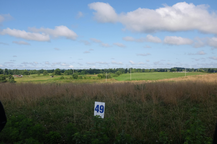 Listing Image 42