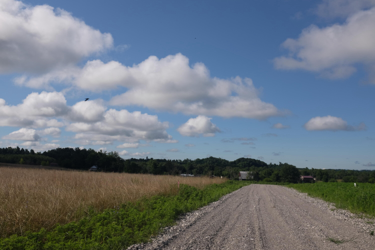 Listing Image 61