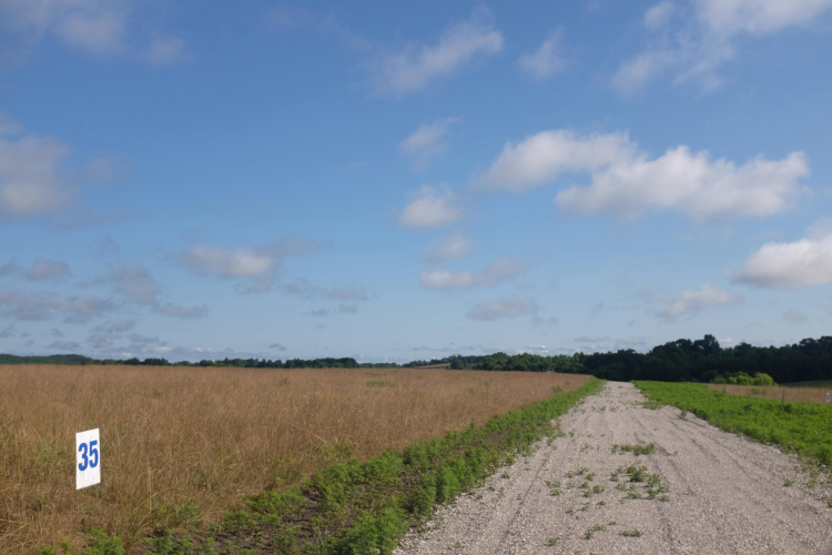 Listing Image 85
