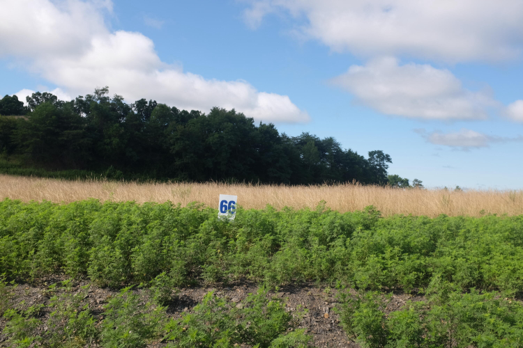 Listing Image 76