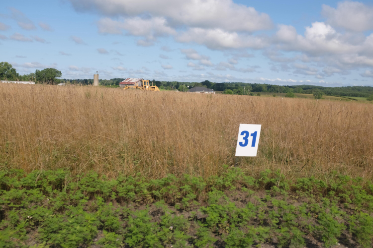 Listing Image 21