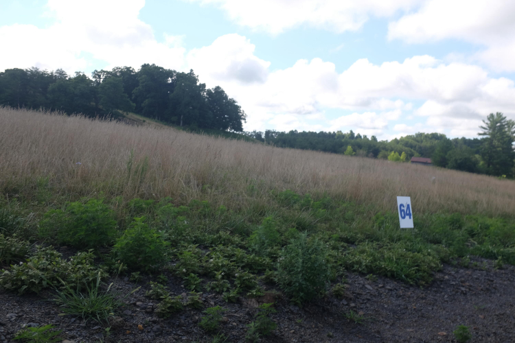 Listing Image 45