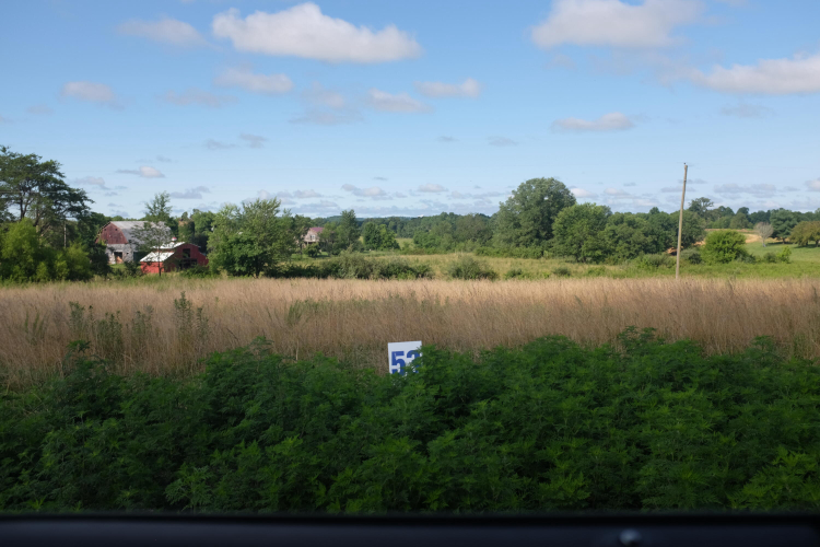 Listing Image 48