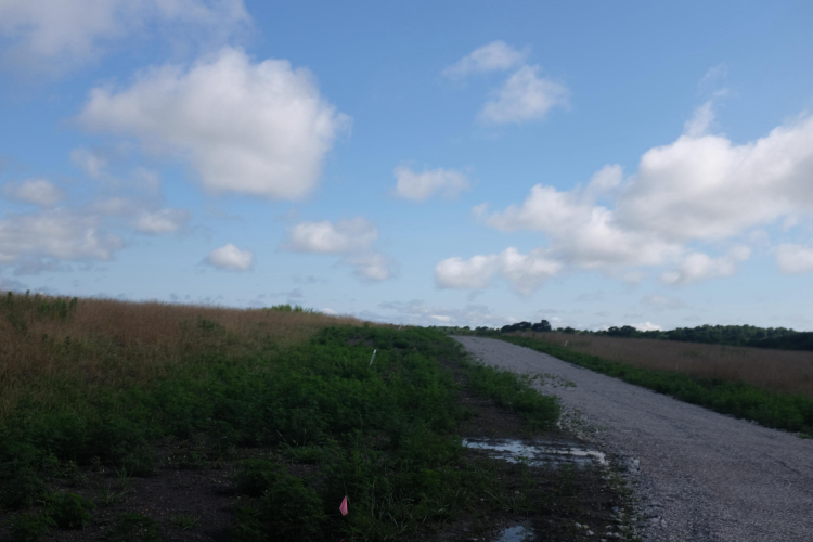 Listing Image 52