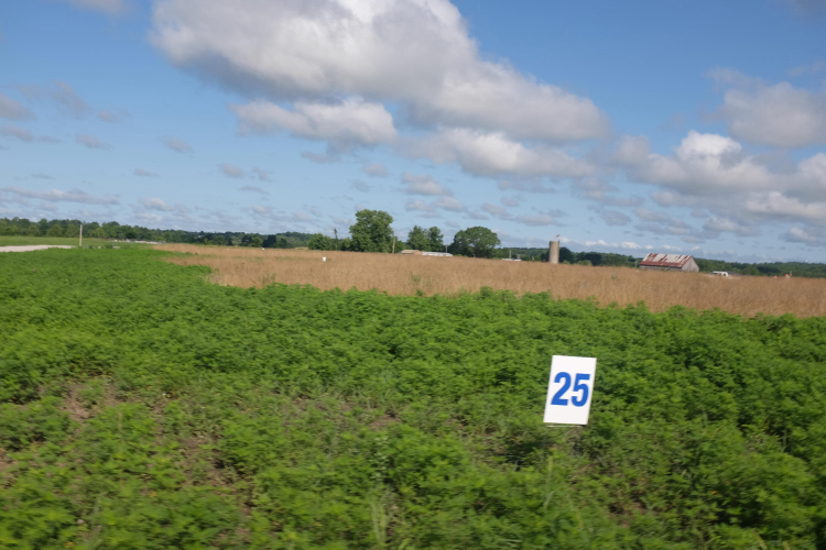 Listing Image 58